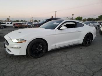  Salvage Ford Mustang