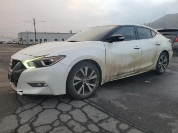  Salvage Nissan Maxima