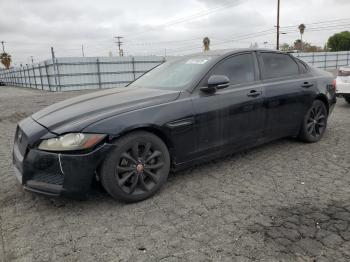  Salvage Jaguar XF