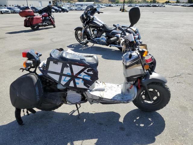  Salvage Honda Ruckus