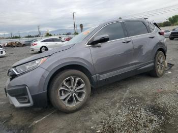  Salvage Honda Crv