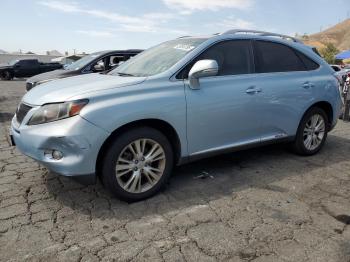  Salvage Lexus RX