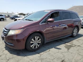  Salvage Honda Odyssey