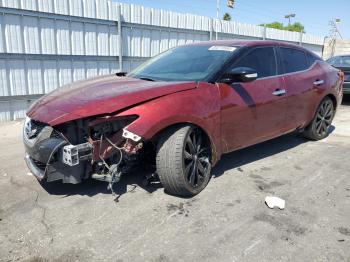  Salvage Nissan Maxima