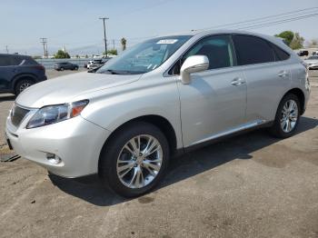  Salvage Lexus RX