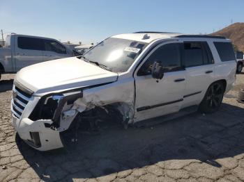  Salvage Cadillac Escalade
