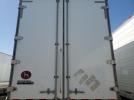 Great Dane Other Image 10