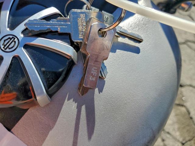 Harley-Davidson Sprtstr120 R Image 5