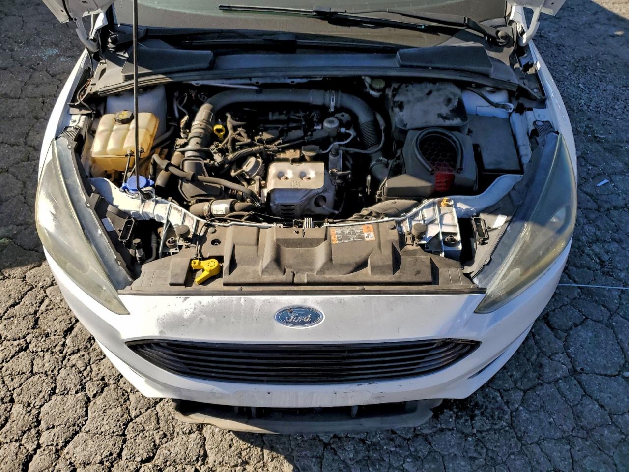 Ford Focus Se Image 9