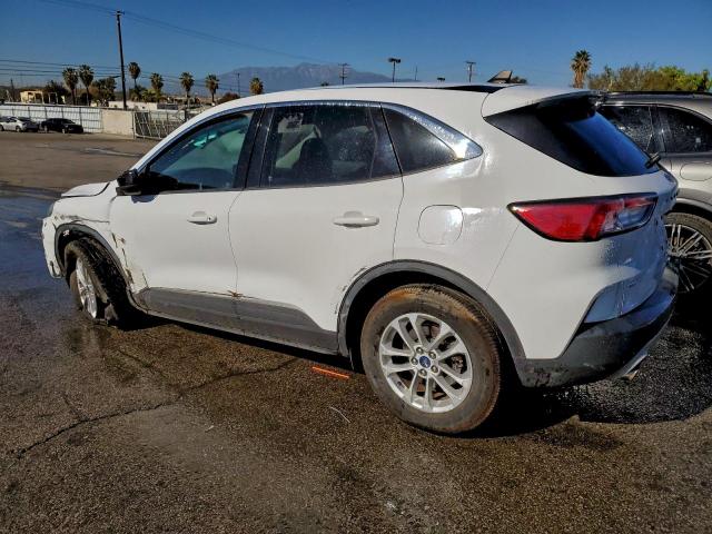 Ford Escape Se Image 11