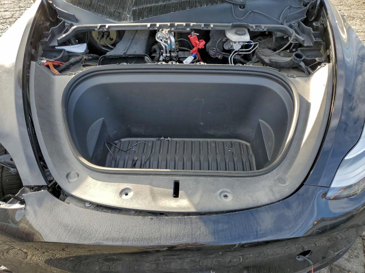 Tesla Model Y Image 9