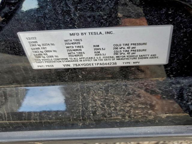Tesla Model Y Image 12