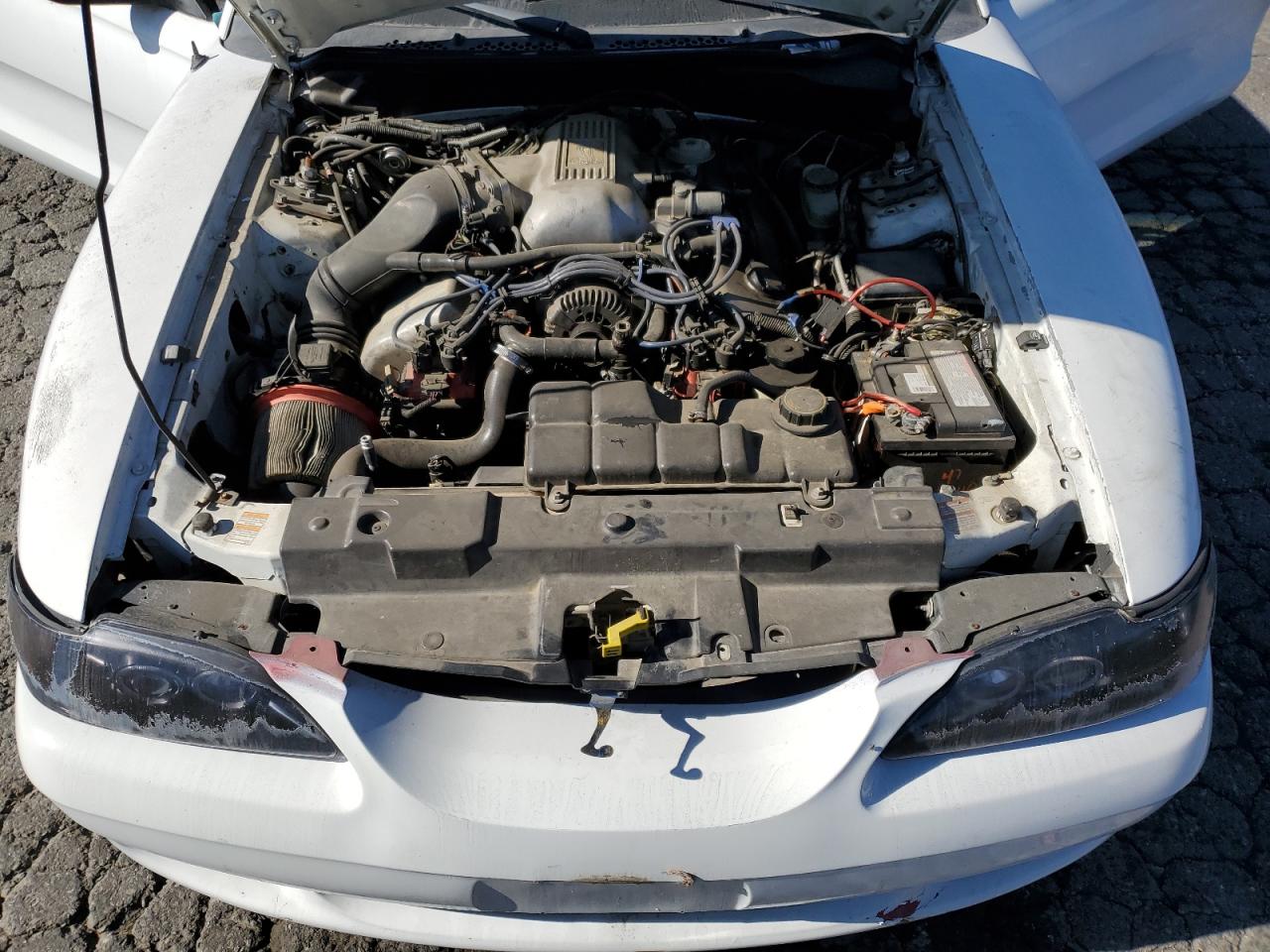 Ford Mustang Cobra Image 4