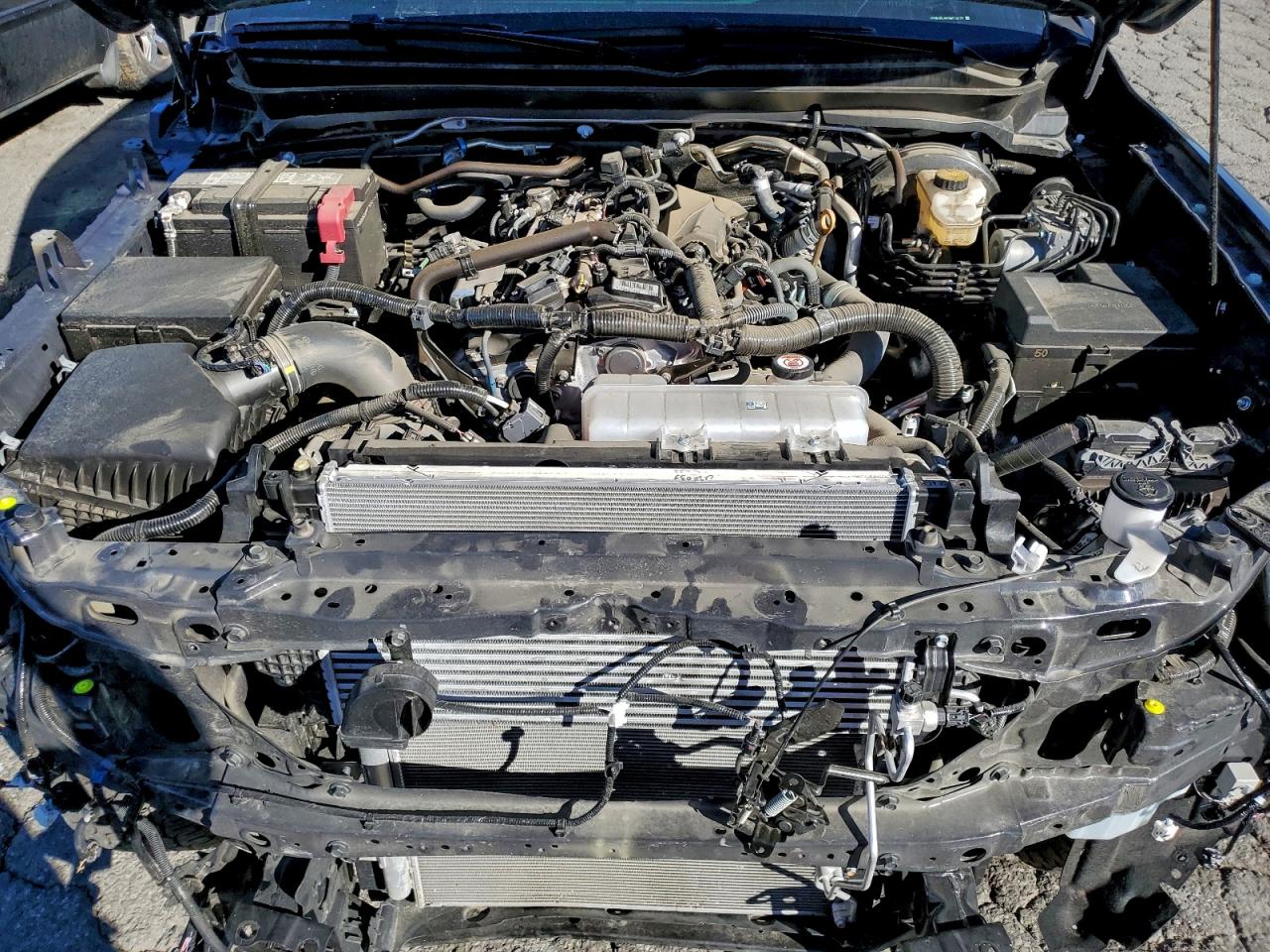 Toyota Tacoma Double Cab Image 7