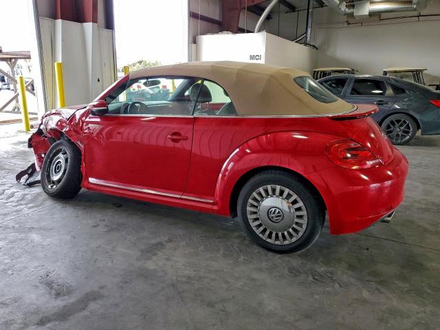 Volkswagen Beetle Image 5