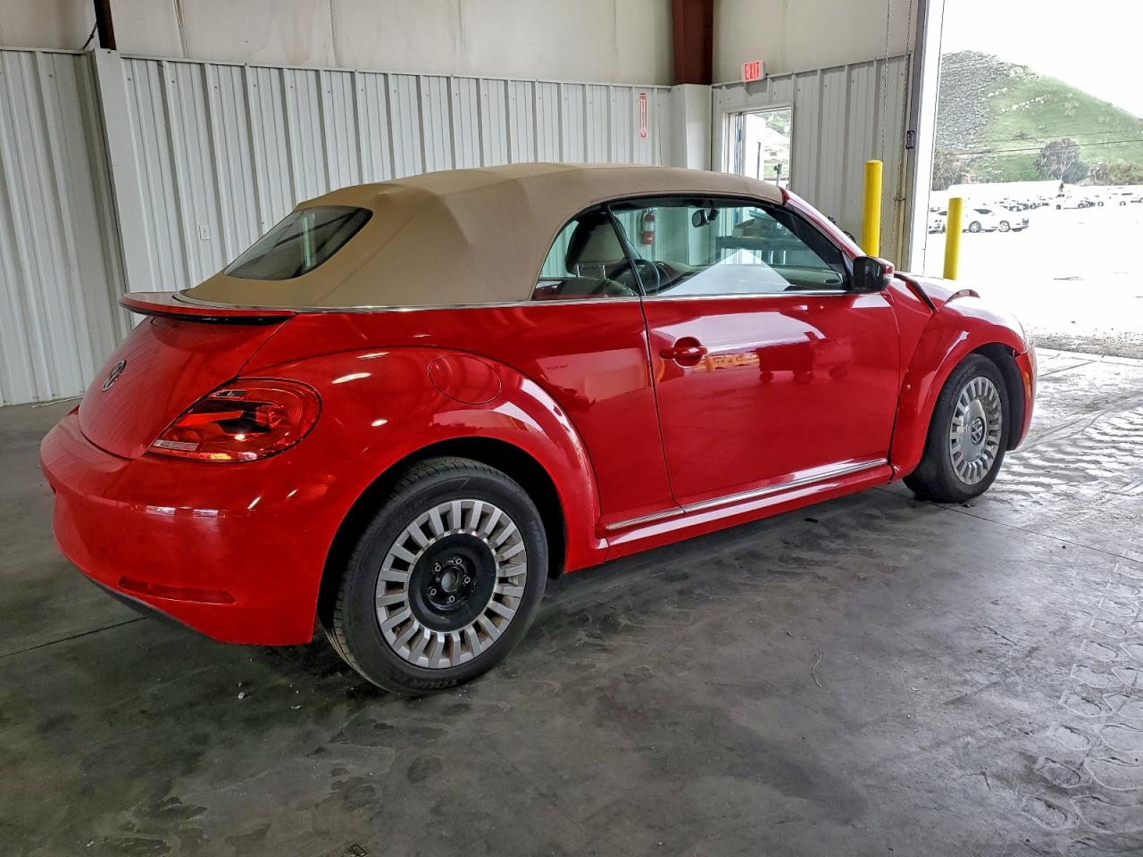 Volkswagen Beetle Image 3