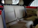 Volkswagen Beetle Image 6