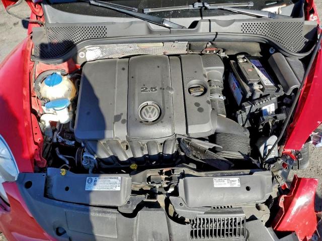 Volkswagen Beetle Image 11