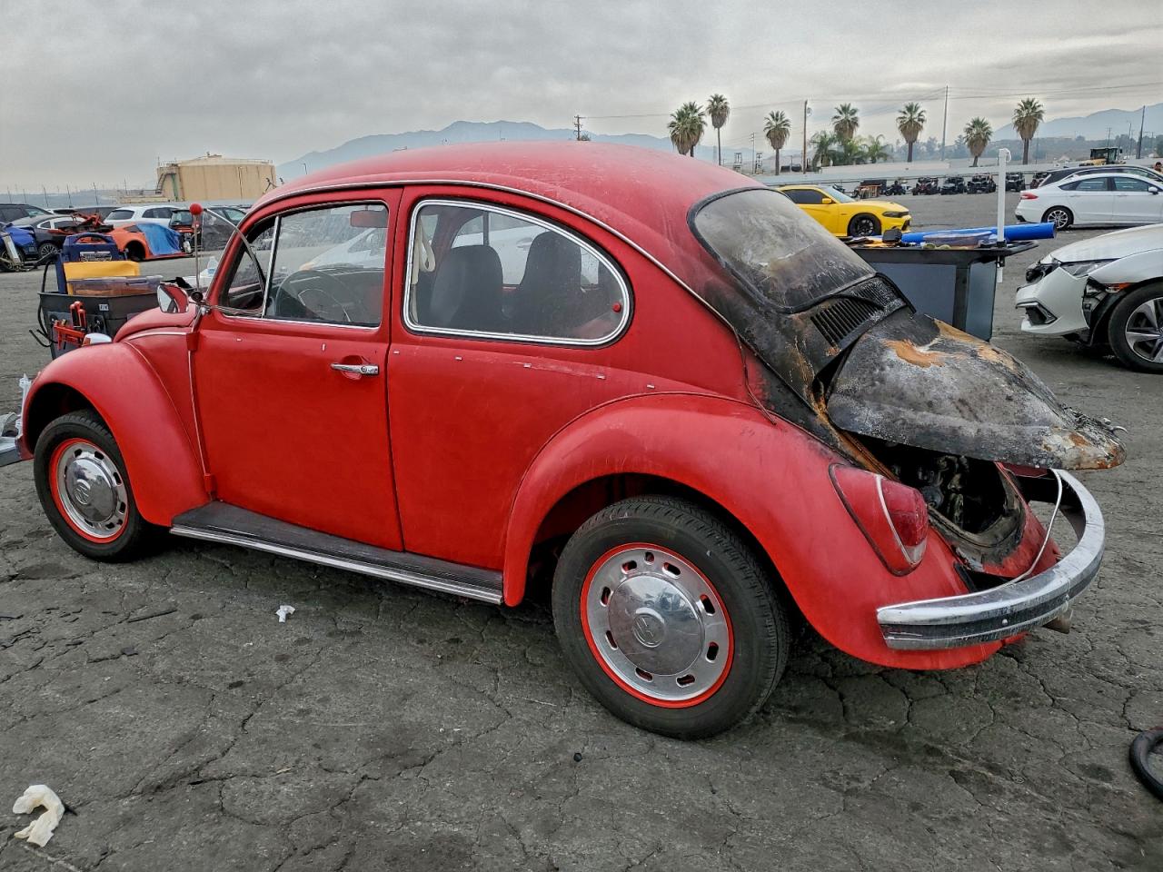 Volkswagen Beetle Image 9