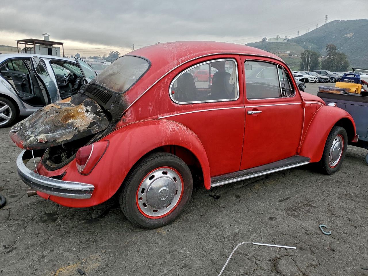 Volkswagen Beetle Image 3