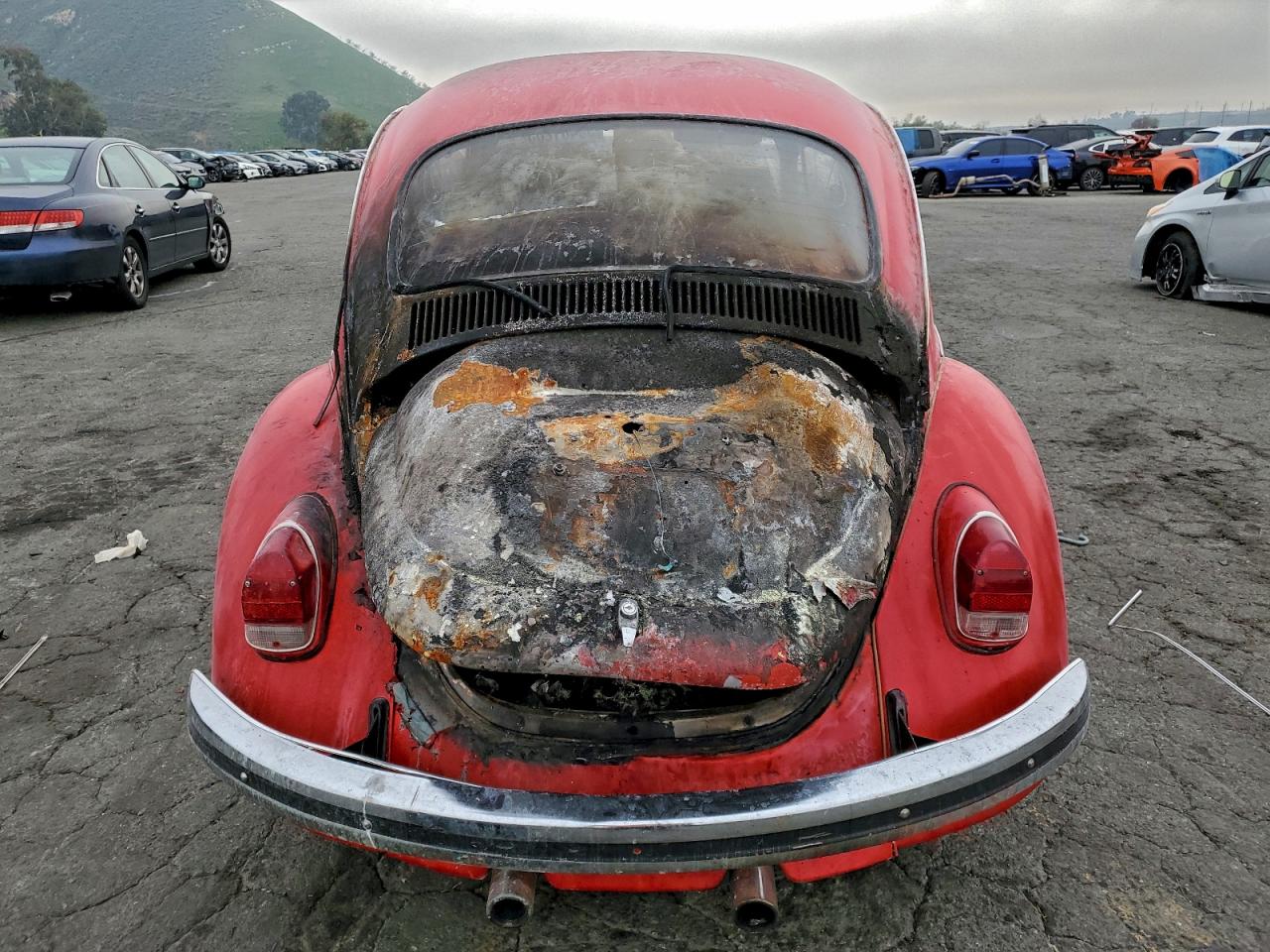 Volkswagen Beetle Image 10